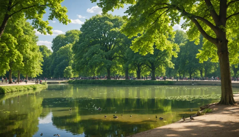 découvrez le bois de vincennes, un vaste espace naturel au cœur de paris. profitez de ses sentiers pittoresques, de ses lacs scintillants et de ses nombreuses activités de plein air, parfaits pour une escapade en famille ou entre amis.
